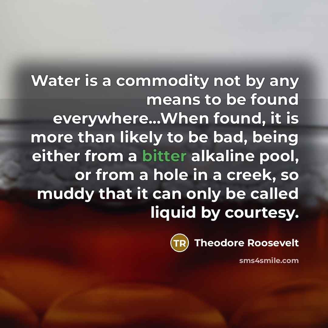 “Water is a commodity not by any means to be…” quote by Theodore Roosevelt