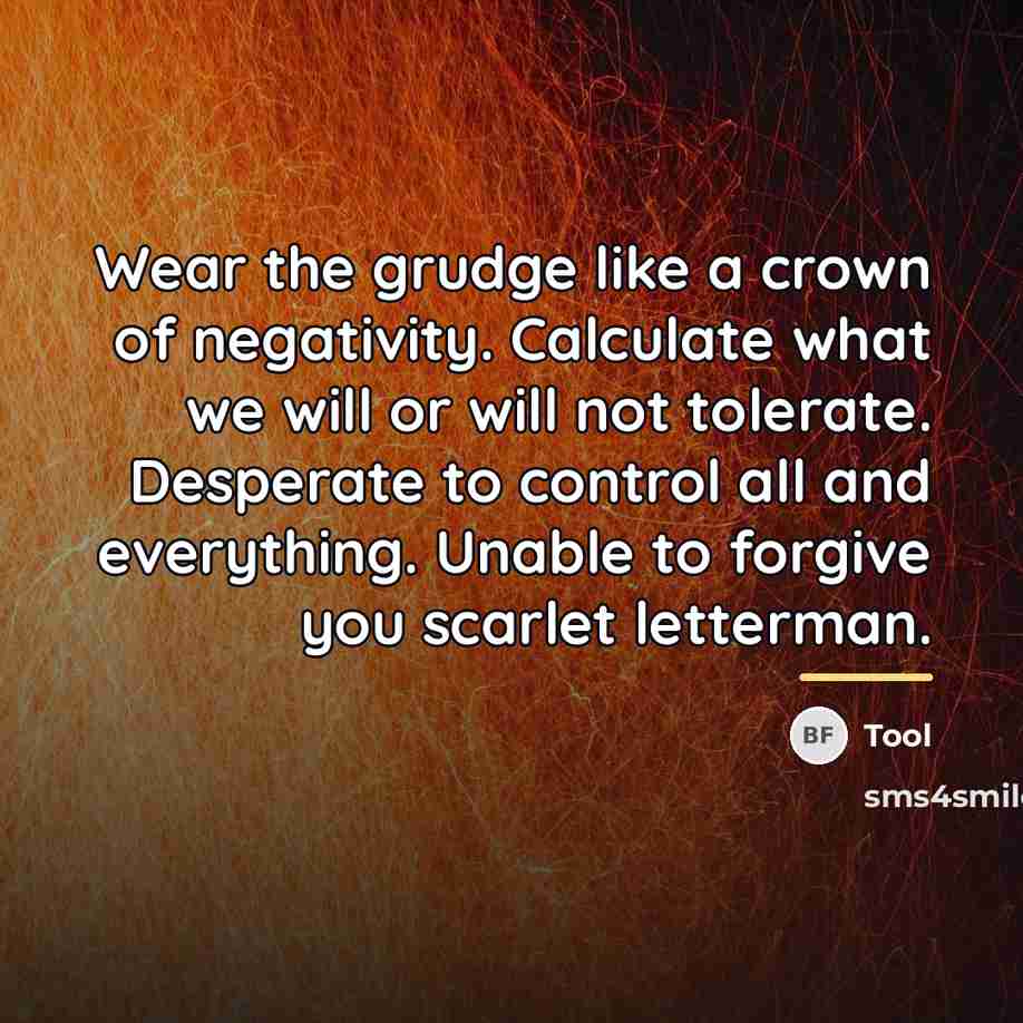 “Wear the grudge like a crown of negativity. Calculate what…” quote by Tool