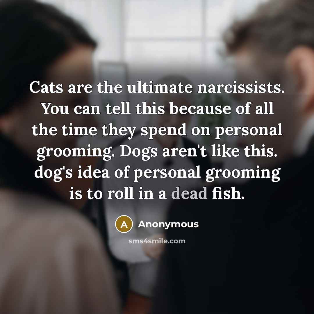 “Cats are the ultimate narcissists. You can tell this because…” quote by Anonymous