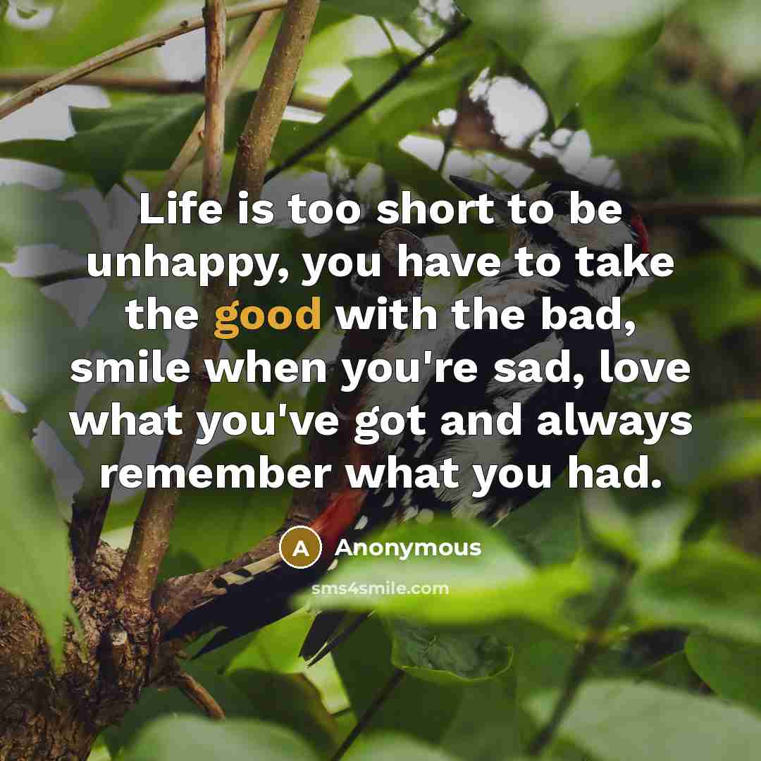 “Life is too short to be unhappy, you have to…” quote by Anonymous