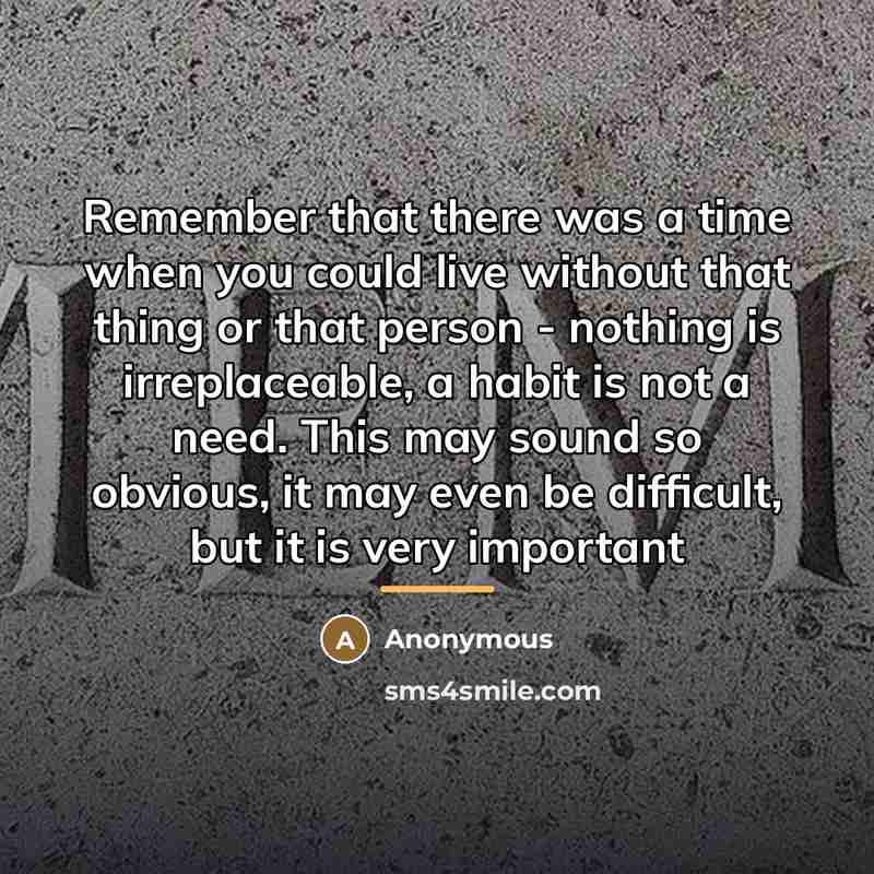 “Remember that there was a time when you could live…” quote by Anonymous