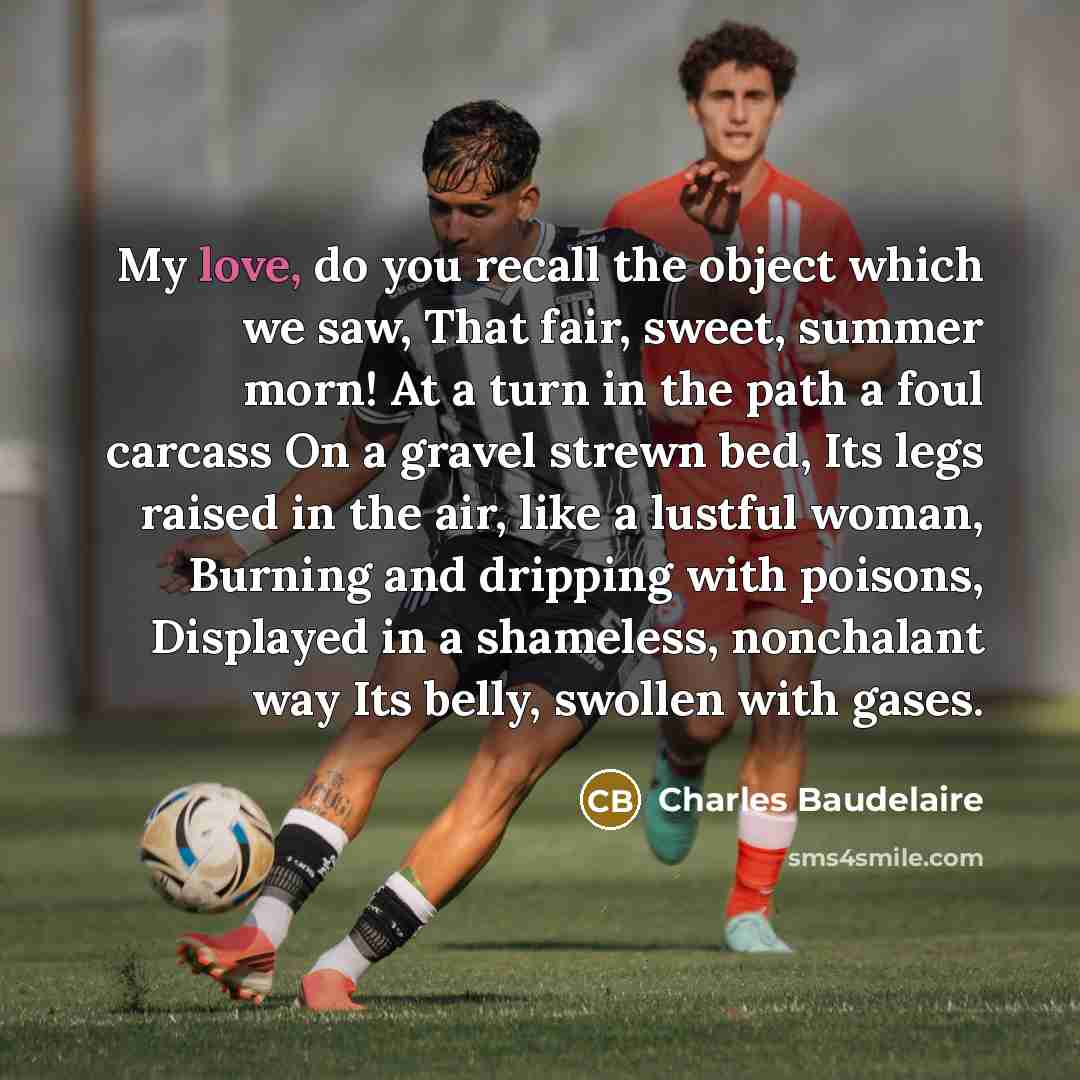 “My love, do you recall the object which we saw,…” quote by Charles Baudelaire