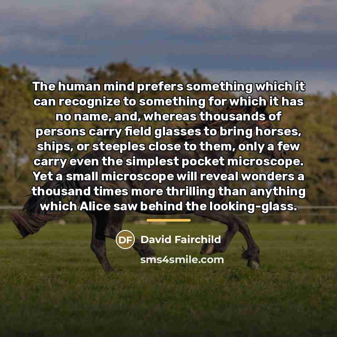 “The human mind prefers something which it can recognize to…” quote by David Fairchild
