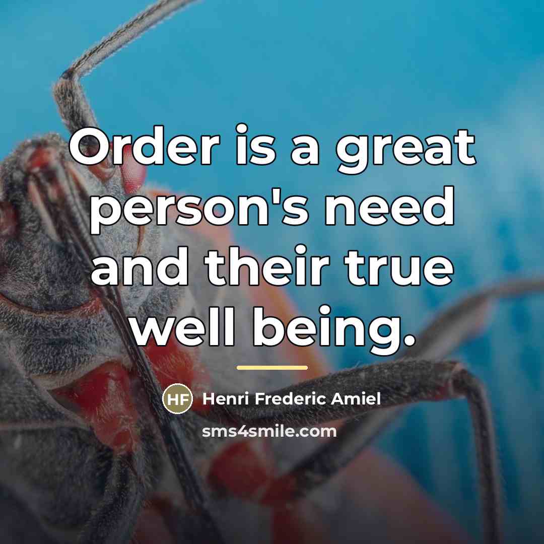 “Order is a great person's need and their true well…” quote by Henri Frederic Amiel
