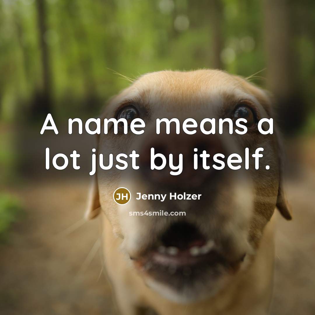 “A name means a lot just by itself.…” quote by Jenny Holzer