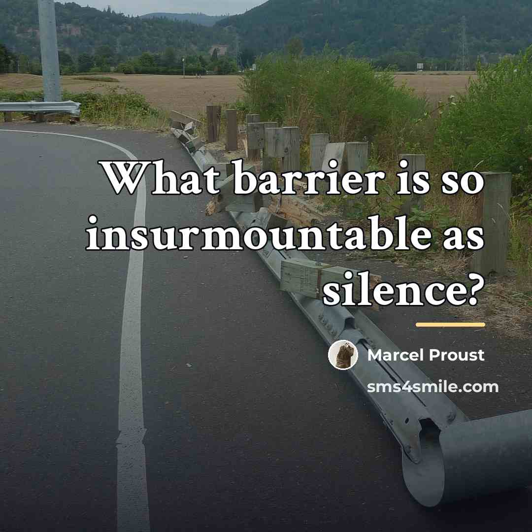 “What barrier is so insurmountable as silence?…” quote by Marcel Proust