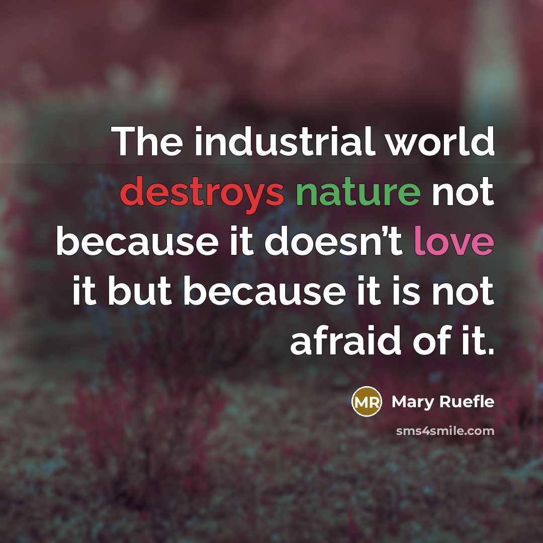 “The industrial world destroys nature not because it doesn’t love it but because it is not afraid of it.” quote by Mary Ruefle