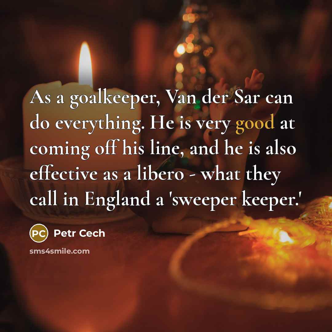 “As a goalkeeper, Van der Sar can do everything. He…” quote by Petr Cech