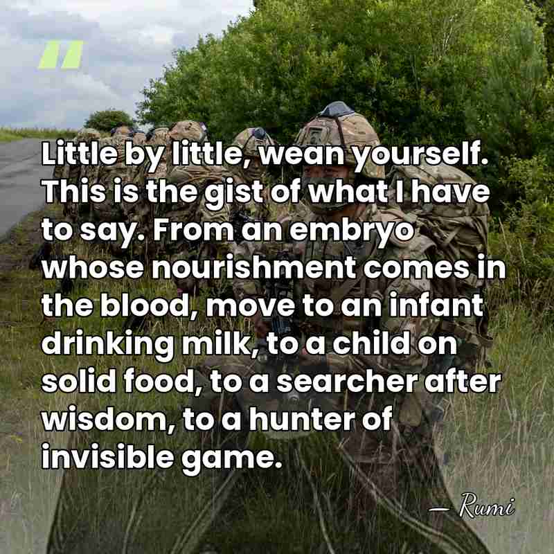 Little by little, wean yourself. This is the gist of what I&hellip; - Rumi