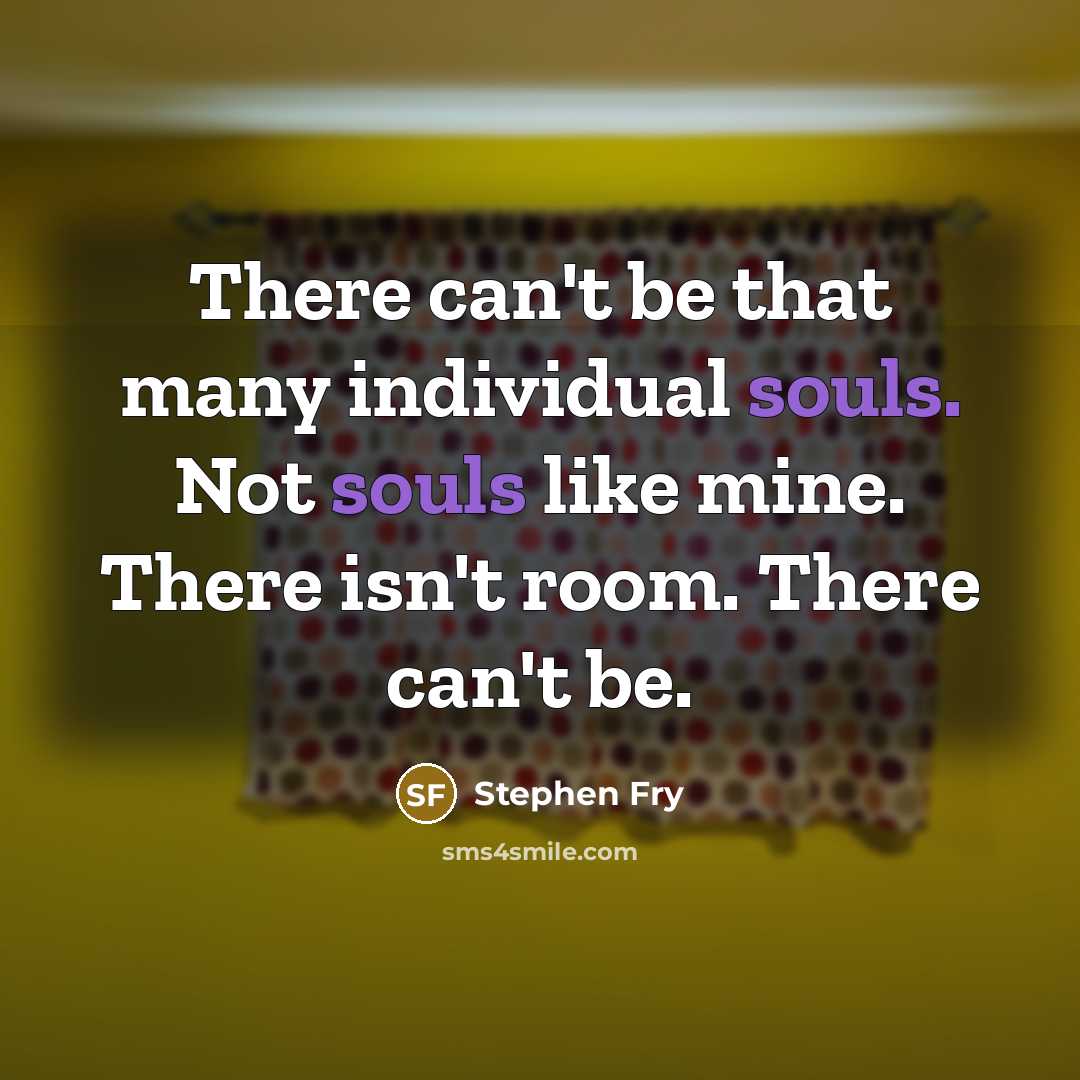 “There can't be that many individual souls. Not souls like…” quote by Stephen Fry