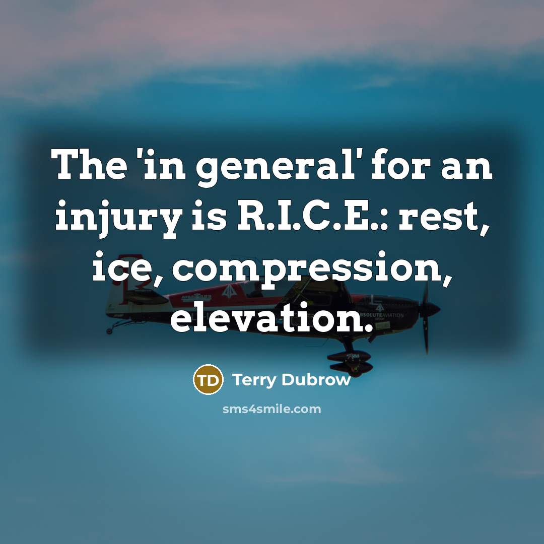 “The 'in general' for an injury is R.I.C.E.: rest, ice,…” quote by Terry Dubrow