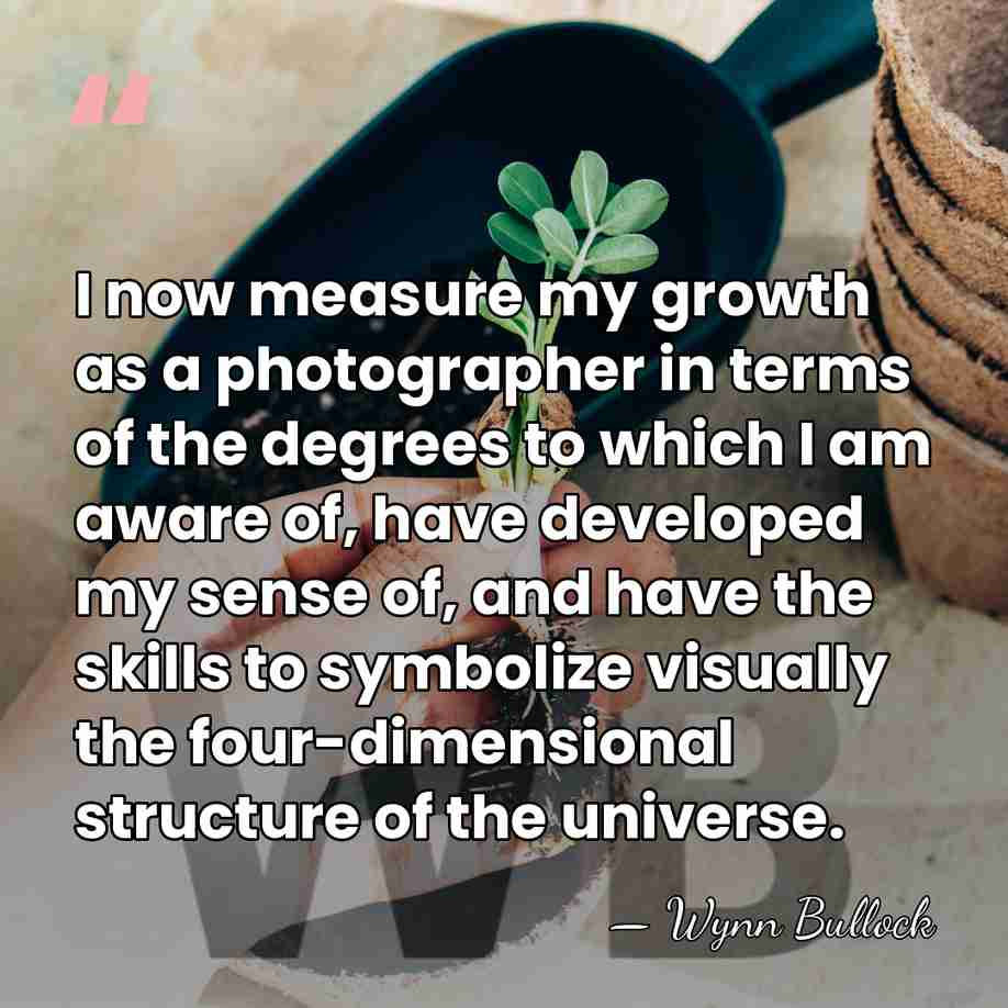 I now measure my growth as a photographer in terms of the&hellip; - Wynn Bullock