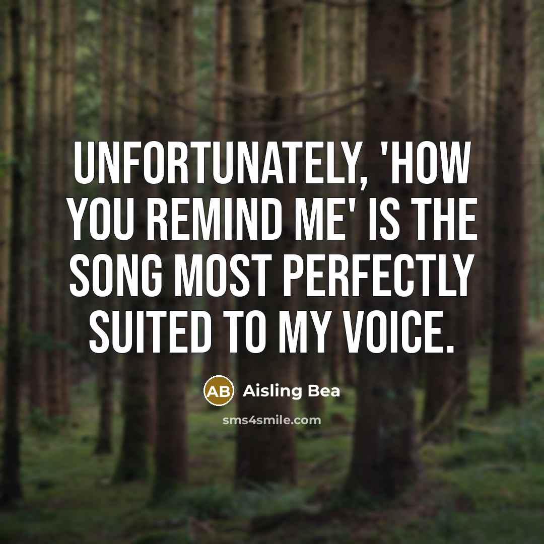 “Unfortunately, 'How You Remind Me' is the song most perfectly…” quote by Aisling Bea