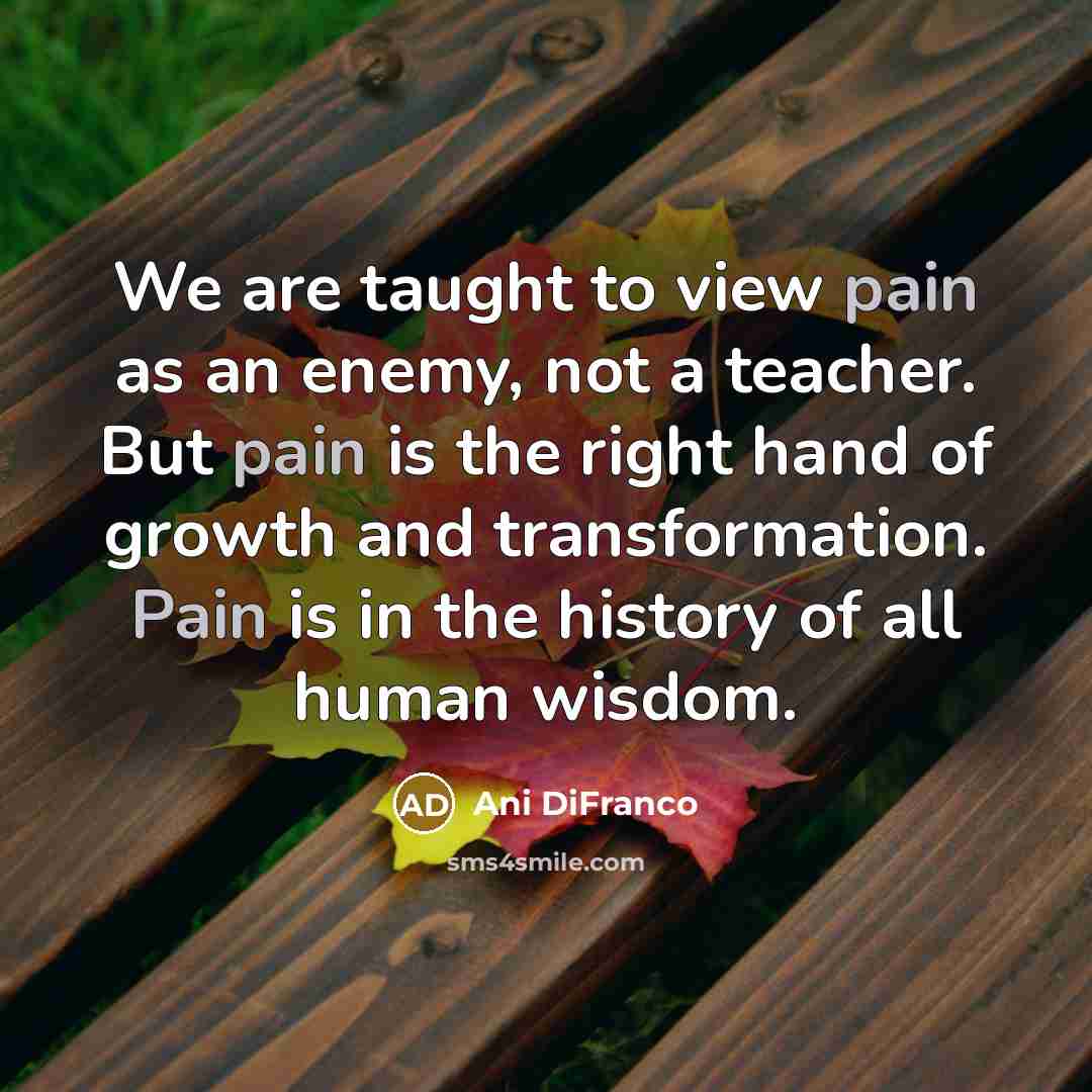 “We are taught to view pain as an enemy, not…” quote by Ani DiFranco