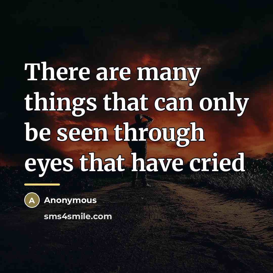 “There are many things that can only be seen through…” quote by Anonymous