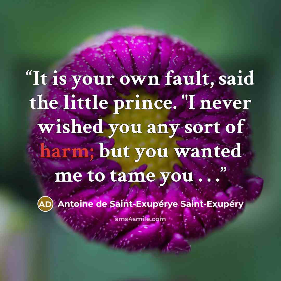 “It is your own fault, said the little prince. "I never wished you any sort of harm; but you wanted me to tame you . . .” quote by Antoine de Saint-Exupérye Saint-Exupéry