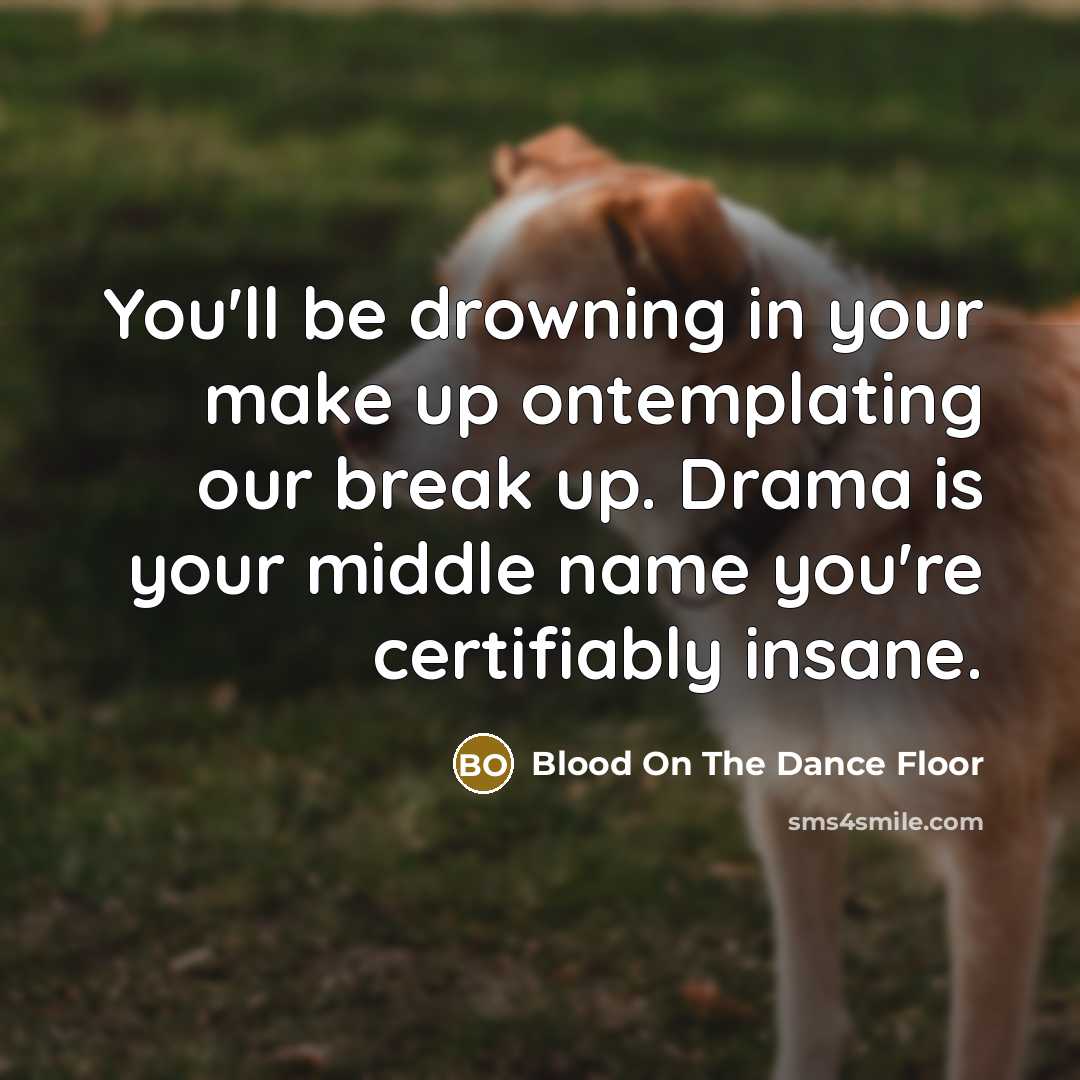 “You'll be drowning in your make up ontemplating our break up. Drama is your middle name you're certifiably insane.” quote by Blood On The Dance Floor