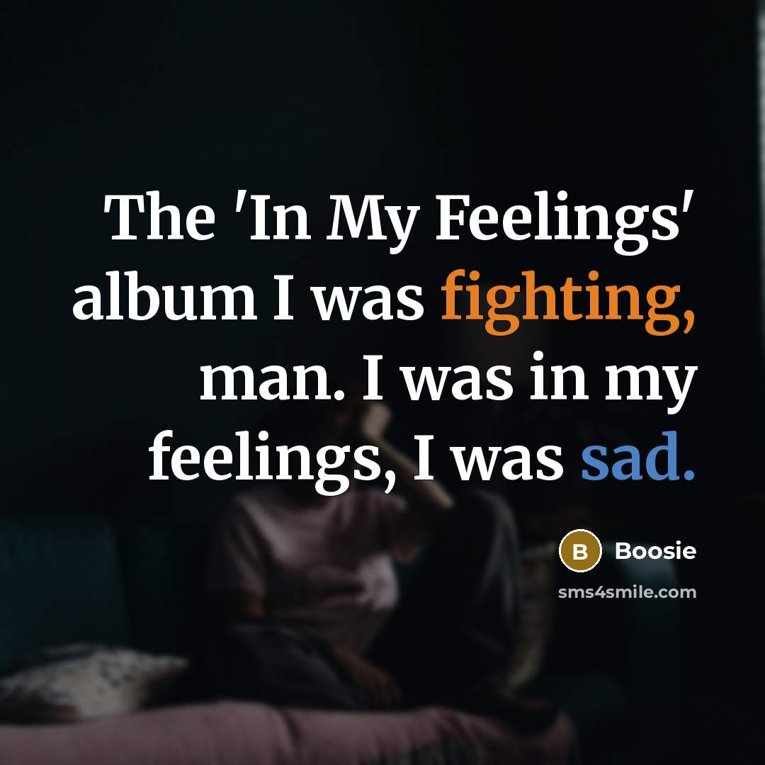 “The 'In My Feelings' album I was fighting, man. I…” quote by Boosie