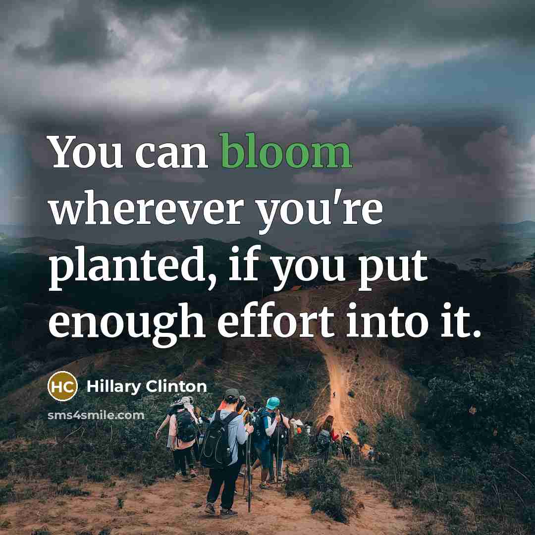 “You can bloom wherever you're planted, if you put enough…” quote by Hillary Clinton