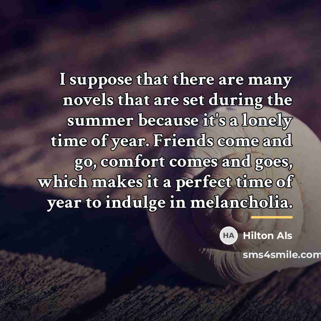 “I suppose that there are many novels that are set…” quote by Hilton Als