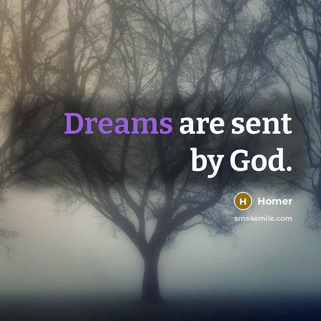 “Dreams are sent by God.…” quote by Homer