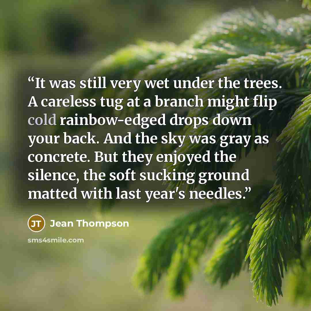 “It was still very wet under the trees. A careless tug at a branch might flip cold rainbow-edged drops down your back. And the sky was gray as concrete. But they enjoyed the silence, the soft sucking ground matted with last year's needles.” quote by Jean Thompson