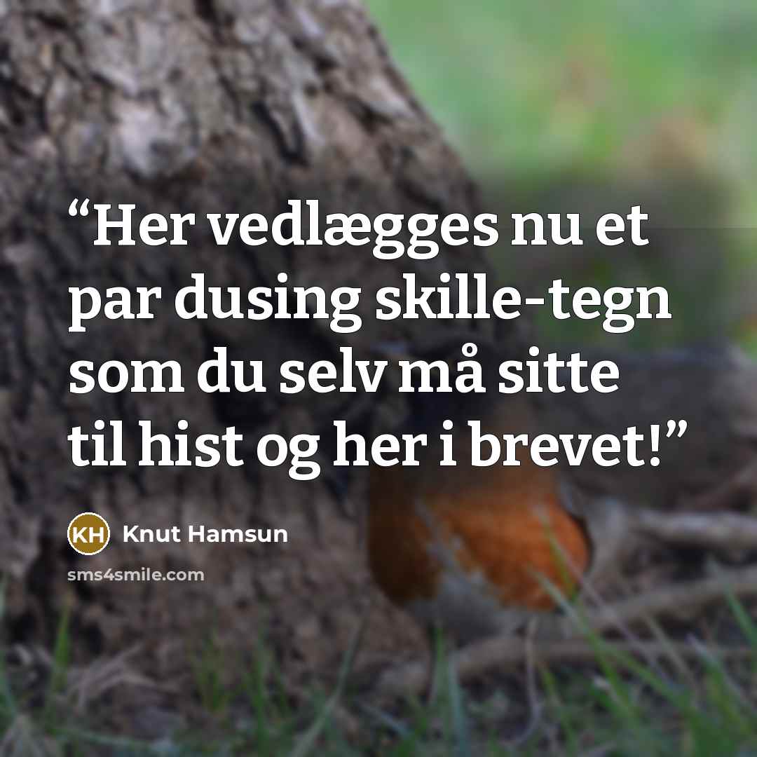“Her vedlægges nu et par dusing skille-tegn som du selv må sitte til hist og her i brevet!” quote by Knut Hamsun