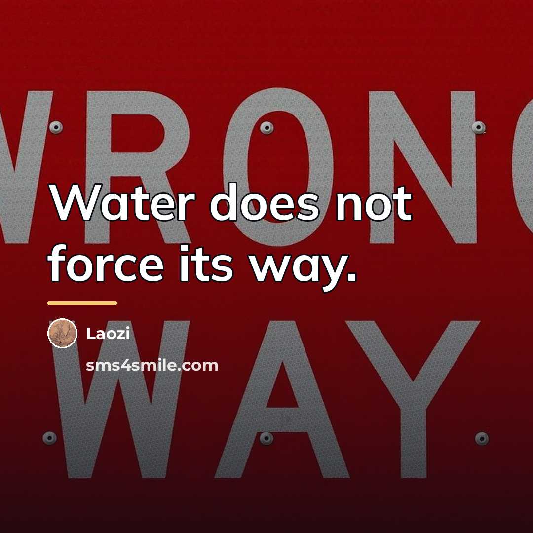 “Water does not force its way.…” quote by Laozi