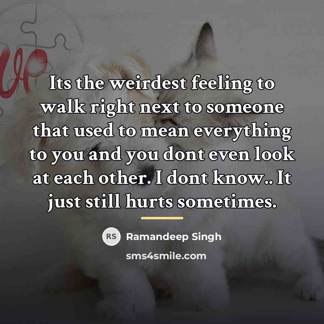 “Its the weirdest feeling to walk right next to someone…” quote by Ramandeep Singh