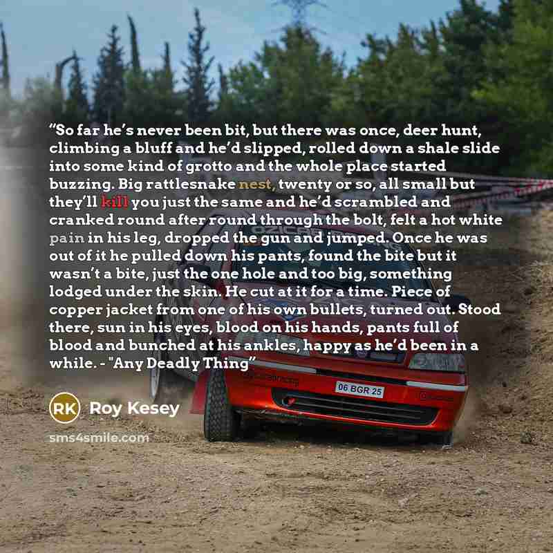“So far he’s never been bit, but there was once, deer hunt, climbing a bluff and he’d slipped, rolled down a shale slide into some kind of grotto and the whole place started buzzing. Big rattlesnake nest, twenty or so, all small but they’ll kill you just the same and he’d scrambled and cranked…” quote by Roy Kesey