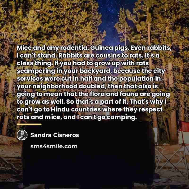 “Mice and any rodentia. Guinea pigs. Even rabbits, I can't…” quote by Sandra Cisneros