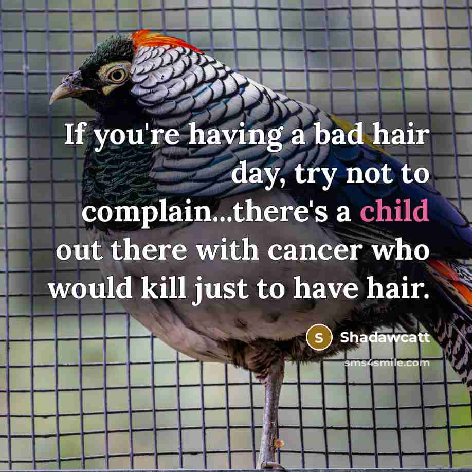 “If you're having a bad hair day, try not to…” quote by Shadawcatt