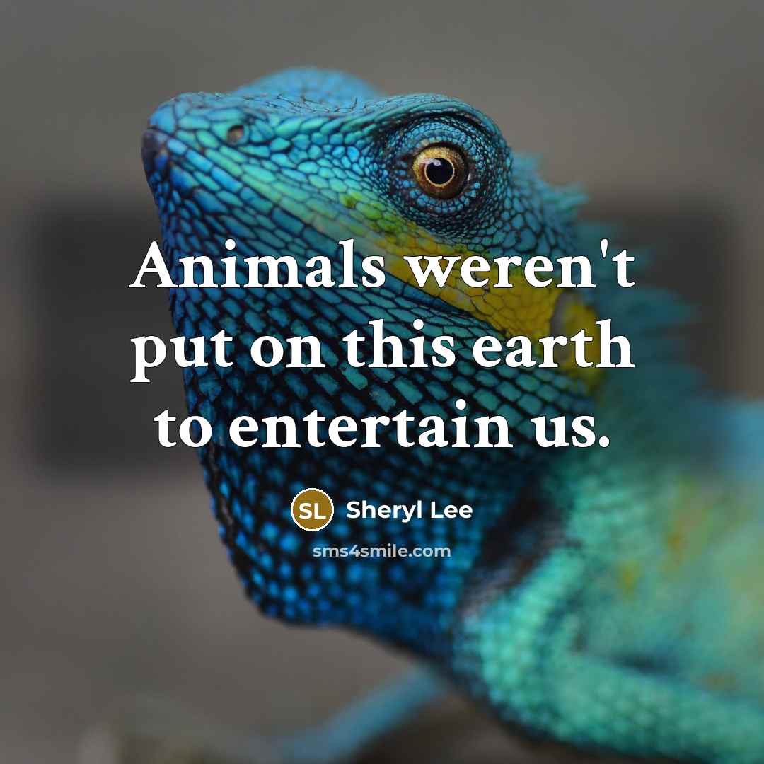 “Animals weren't put on this earth to entertain us.…” quote by Sheryl Lee