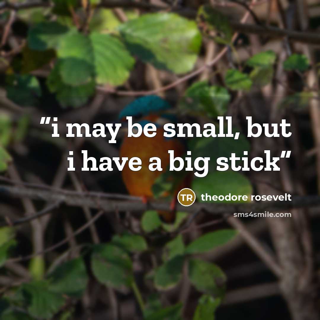 “i may be small, but i have a big stick” quote by theodore rosevelt