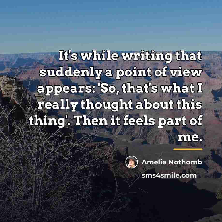 “It's while writing that suddenly a point of view appears:…” quote by Amelie Nothomb
