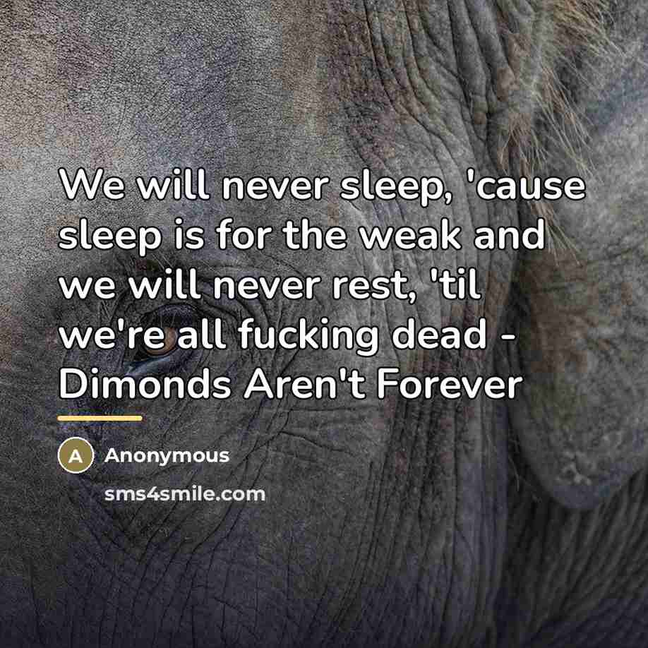 “We will never sleep, 'cause sleep is for the weak…” quote by Anonymous