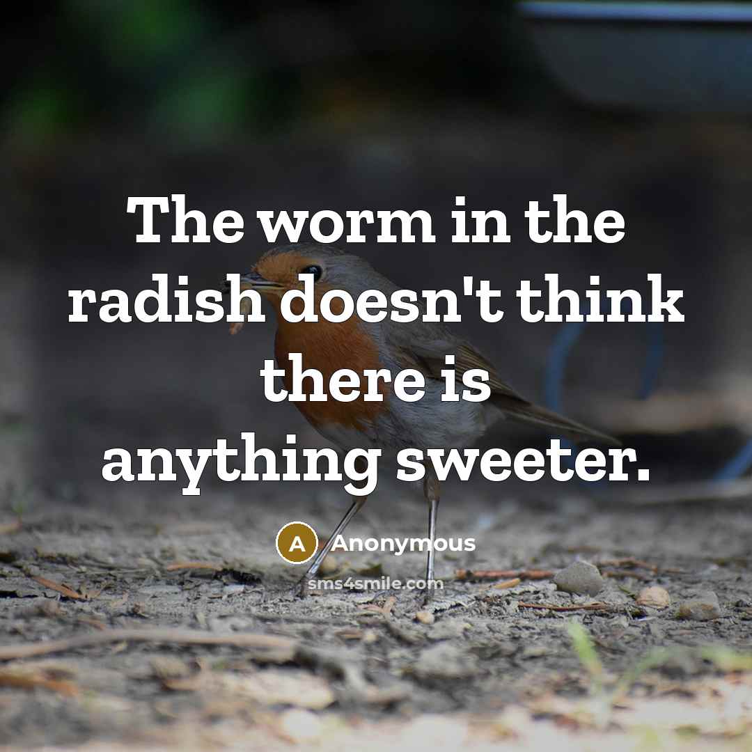 “The worm in the radish doesn't think there is anything sweeter.” quote by Anonymous