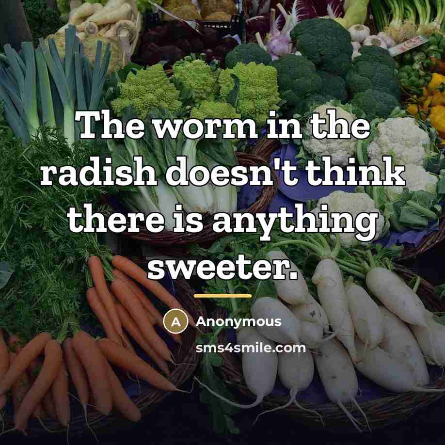 “The worm in the radish doesn't think there is anything…” quote by Anonymous