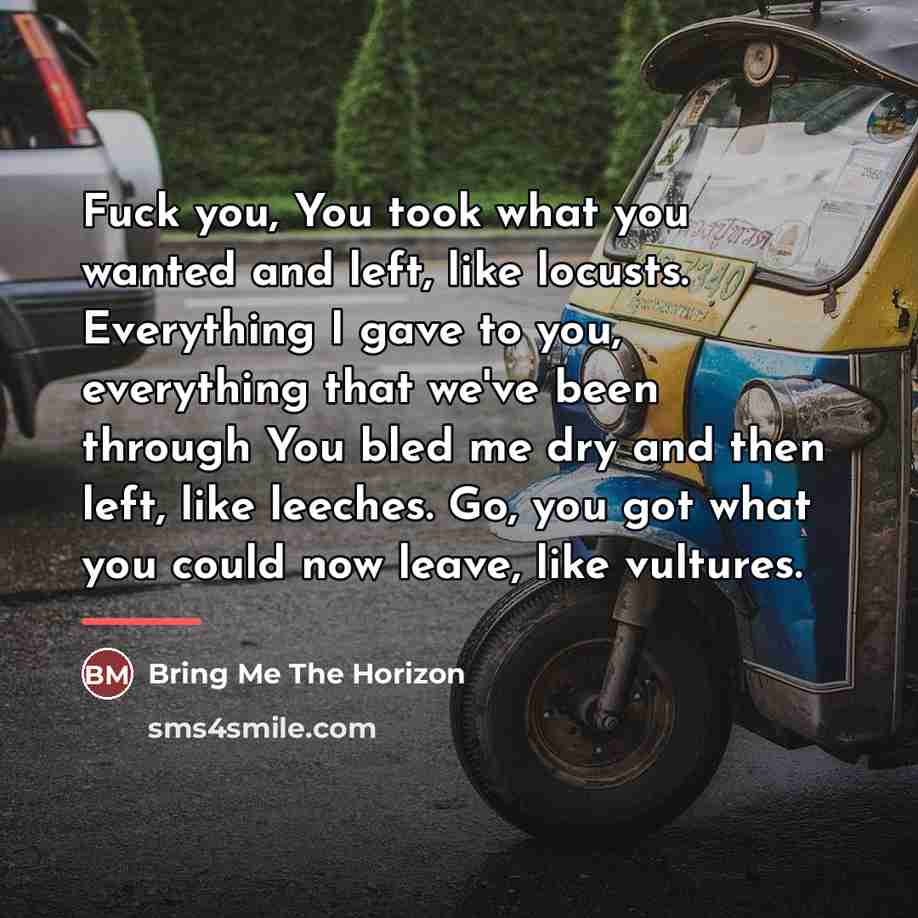 “Fuck you, You took what you wanted and left, like…” quote by Bring Me The Horizon
