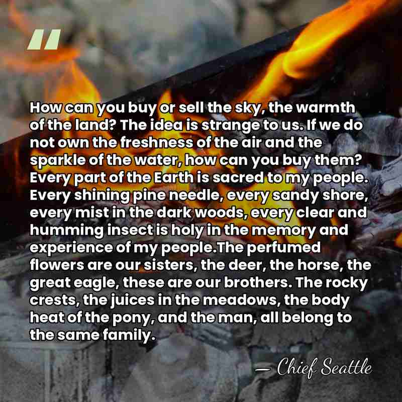 How can you buy or sell the sky, the warmth of the&hellip; - Chief Seattle