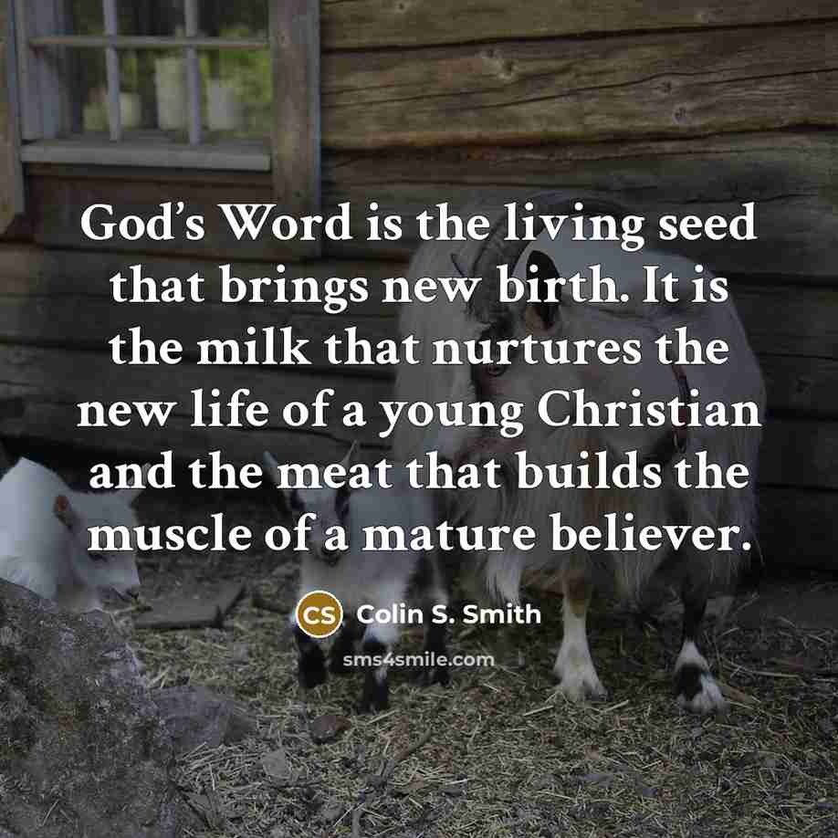 “God’s Word is the living seed that brings new birth.…” quote by Colin S. Smith