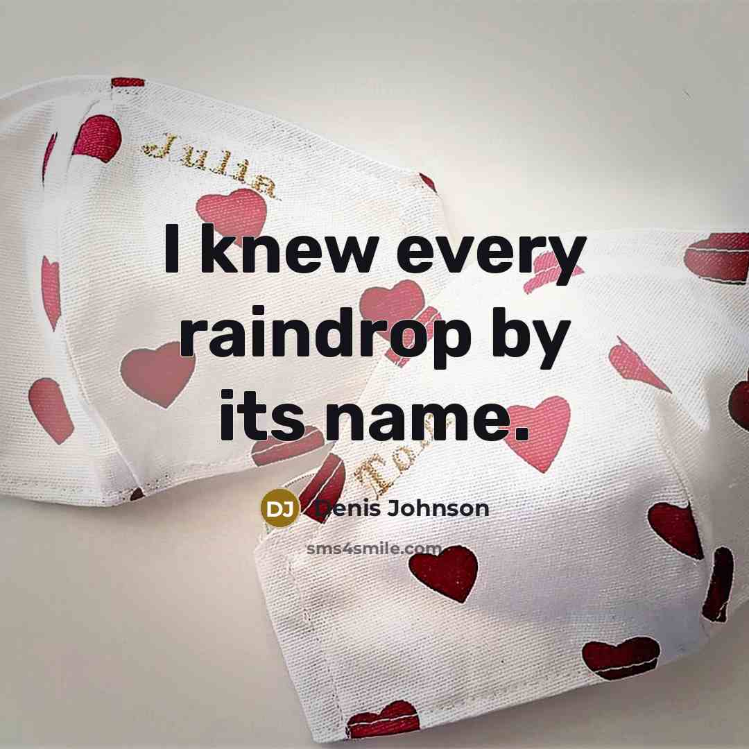 “I knew every raindrop by its name.” quote by Denis Johnson