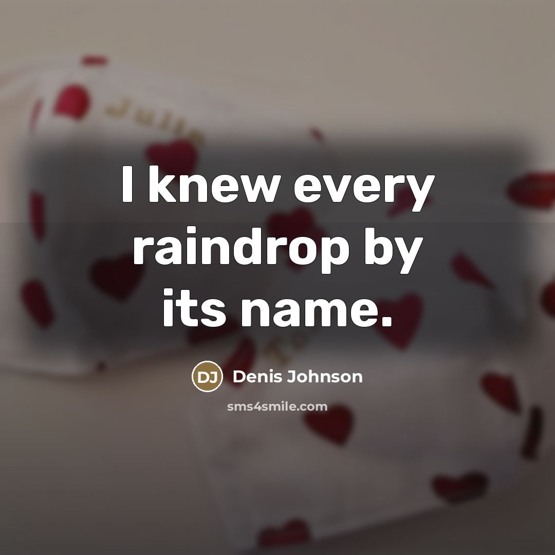 “I knew every raindrop by its name.…” quote by Denis Johnson