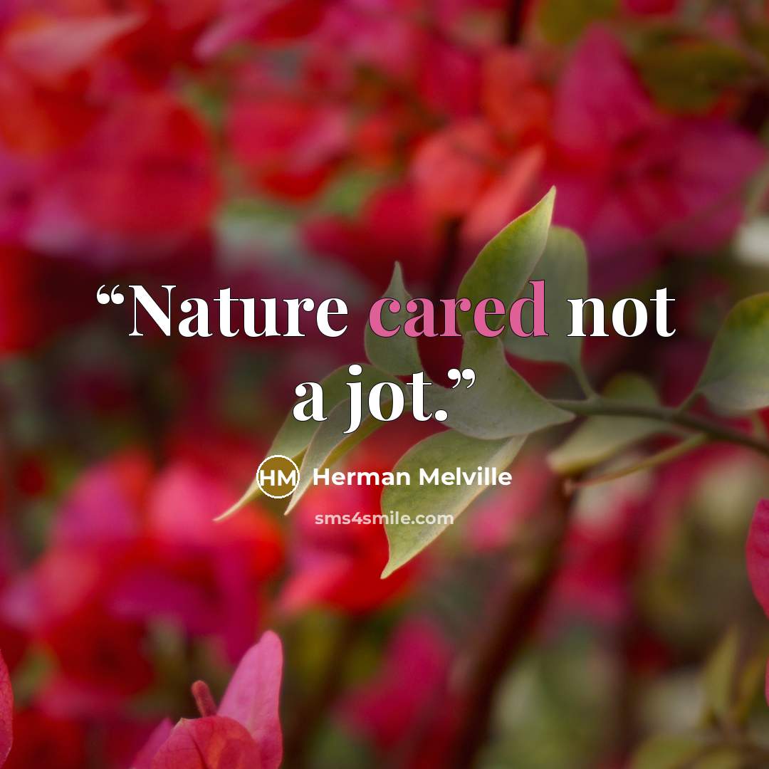 “Nature cared not a jot.” quote by Herman Melville