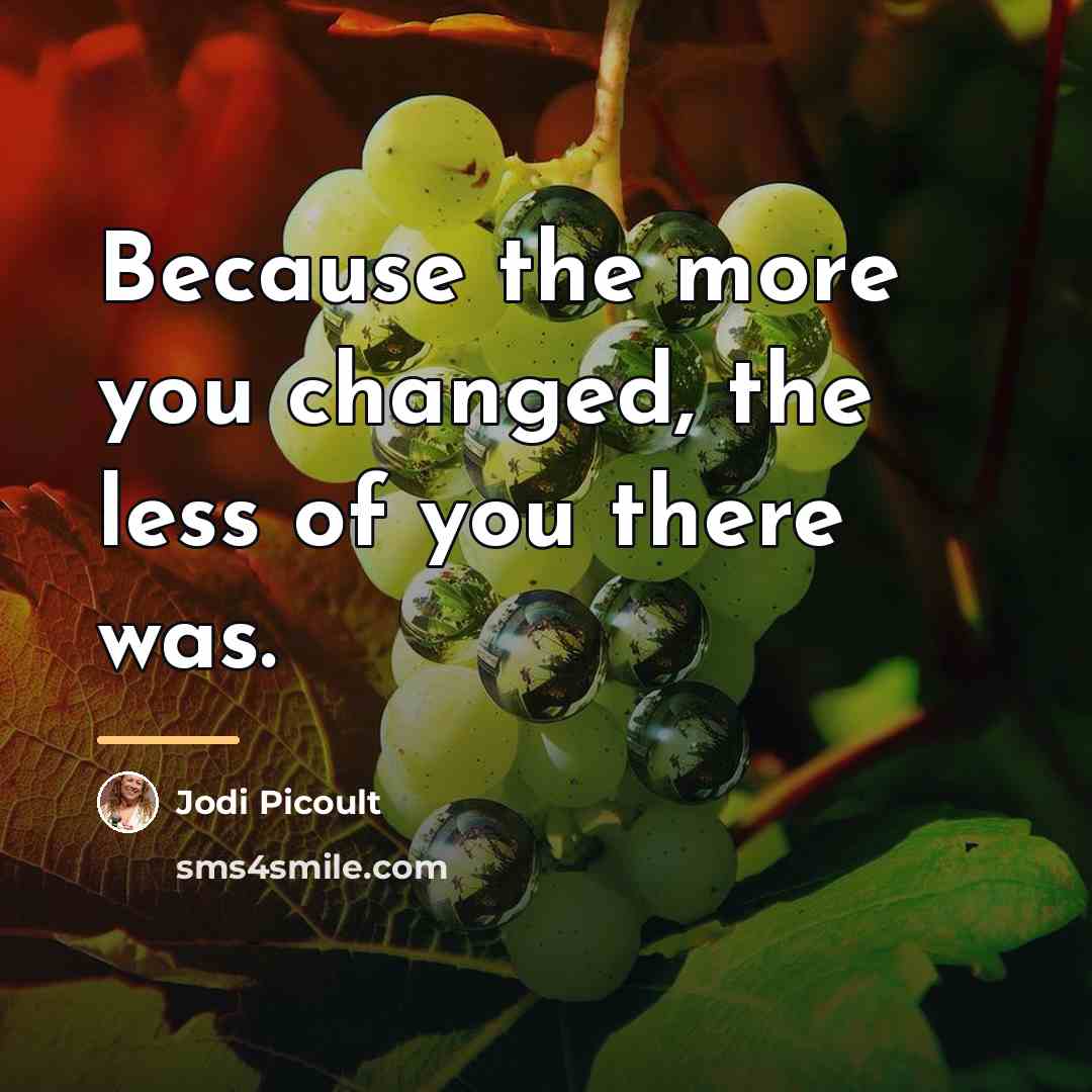 “Because the more you changed, the less of you there…” quote by Jodi Picoult