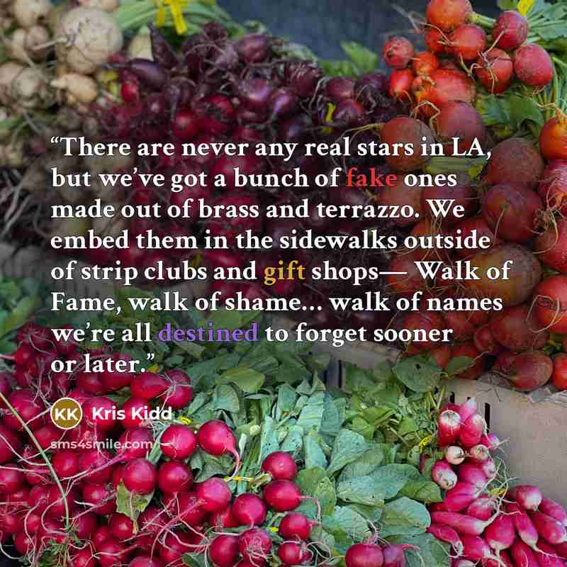 “There are never any real stars in LA, but we’ve got a bunch of fake ones made out of brass and terrazzo. We embed them in the sidewalks outside of strip clubs and gift shops— Walk of Fame, walk of shame… walk of names we’re all destined to forget sooner or later.” quote by Kris Kidd