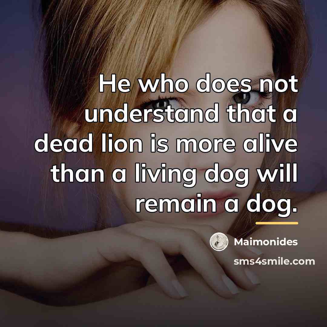 “He who does not understand that a dead lion is…” quote by Maimonides