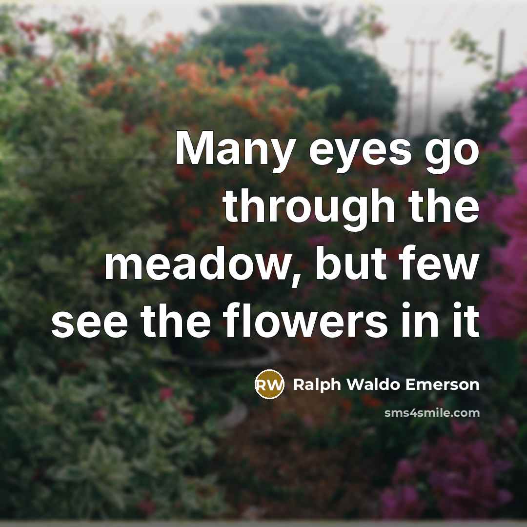 “Many eyes go through the meadow, but few see the…” quote by Ralph Waldo Emerson