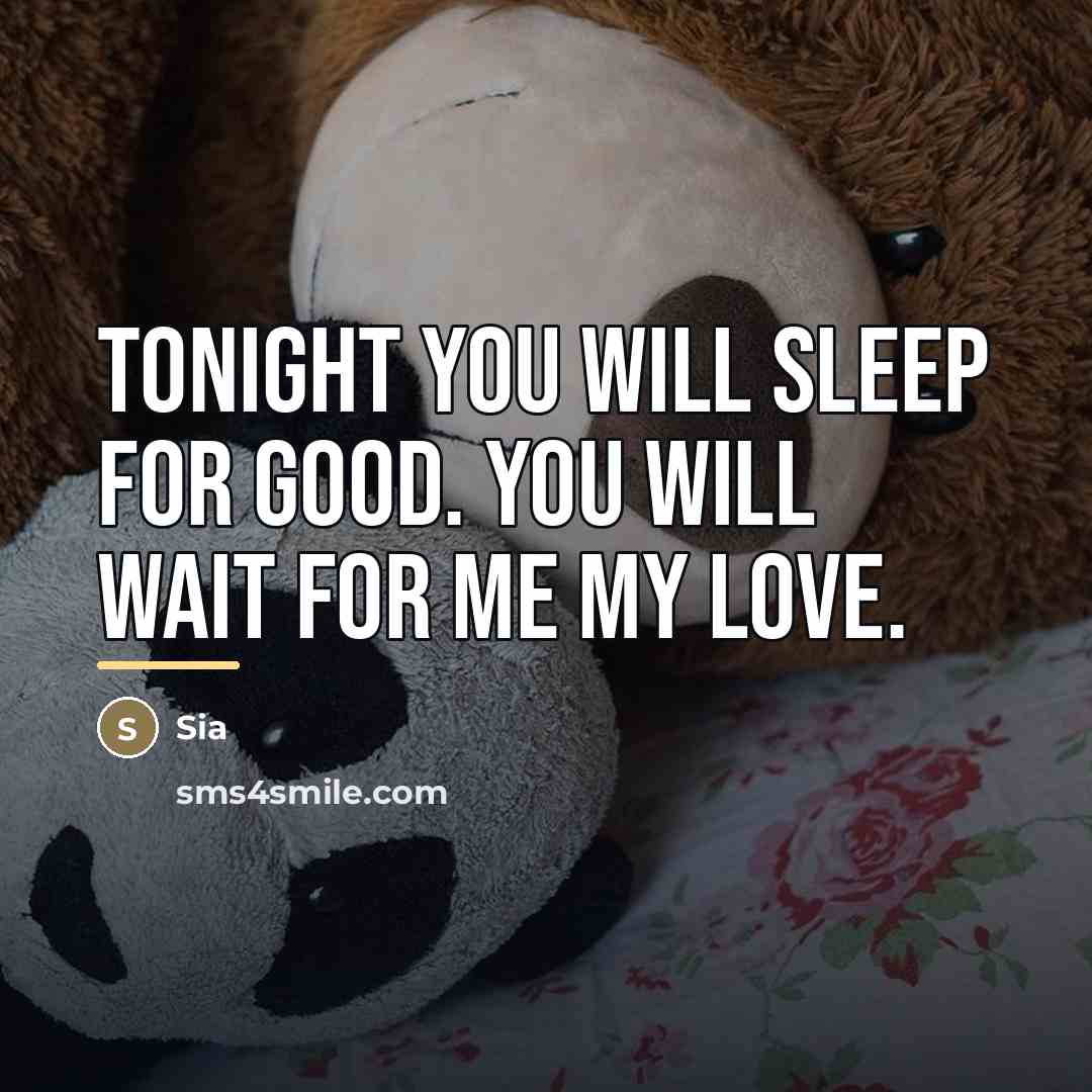 “Tonight you will sleep for good. You will wait for…” quote by Sia