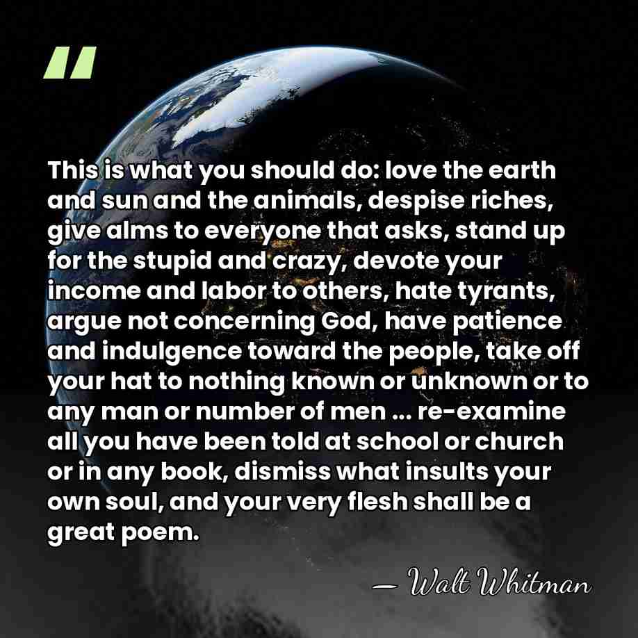 This is what you should do: love the earth and sun and&hellip; - Walt Whitman